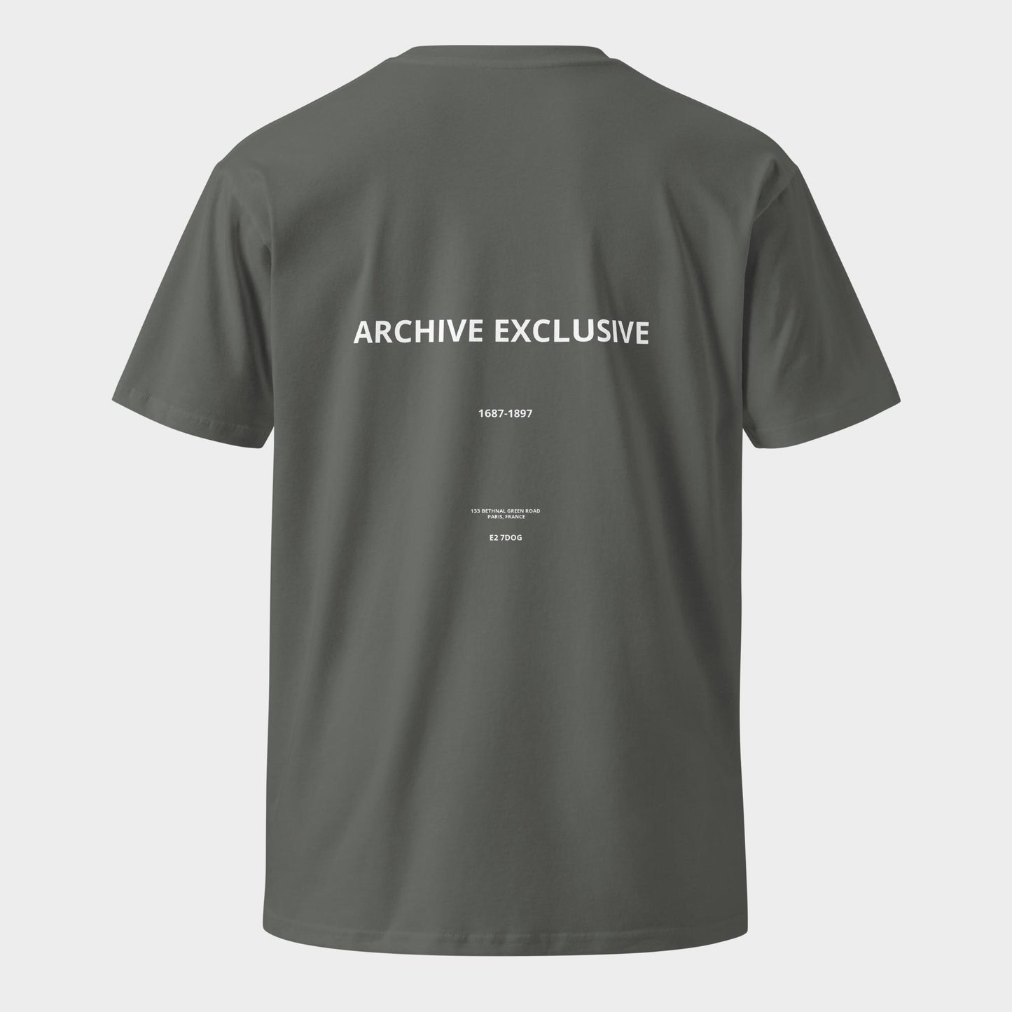 Graphic -  Archive Exclusive tee (Multi Colors)